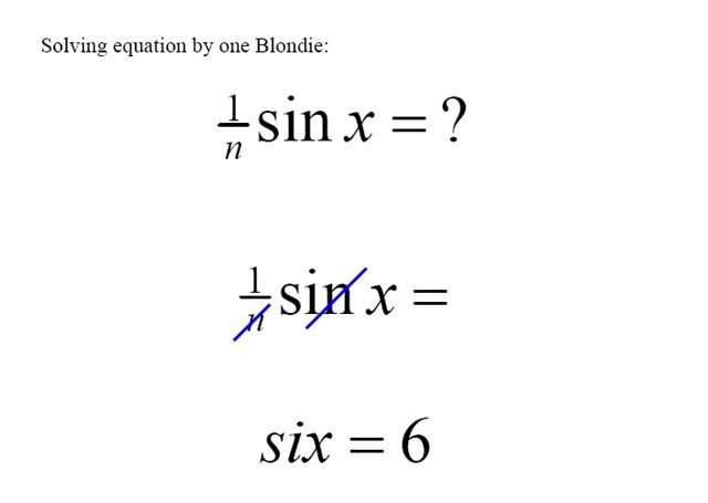 equation.jpg (15016 bytes)