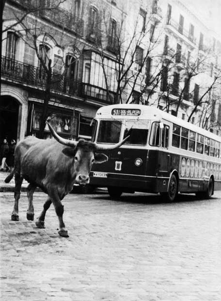 Madrid antiguo - tráfico fluido.jpg (50100 bytes)
